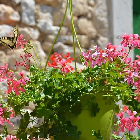 Dom wakacyjny Grosses Mit Eigenem Pool Und Terrasse By Interhome Crikvenica
