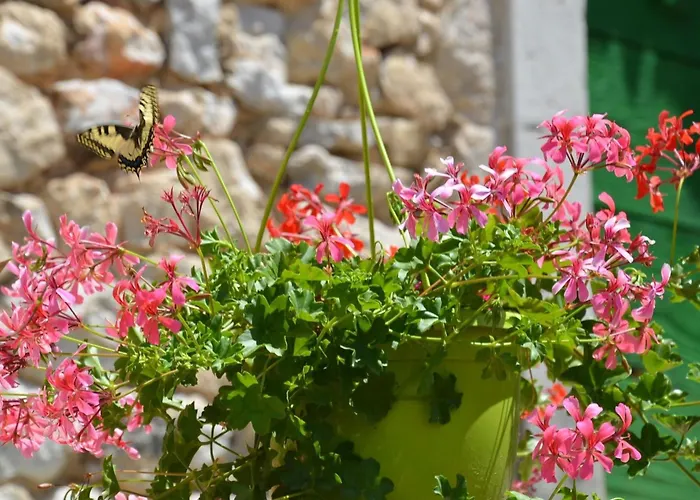 Holiday home Grosses Mit Eigenem Pool Und Terrasse By Interhome Crikvenica